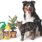 Pet Poison Prevention Month- Pack Mom Tips