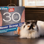 Simple Solution Cat Litter Review and Giveaway