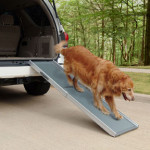 Solvit Deluxe Telescoping Pet Ramp- The Pack Mom Review and Giveaway