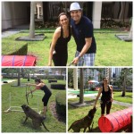 4 Benefits of Dog Agility and I Promise- You Can Do It Too