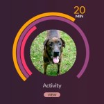 My Dog’s Voyce- A Health Monitor for Your Dog